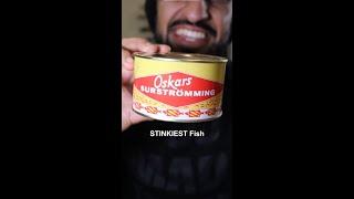 Let's Try the STINKIEST FISH in the World (Surströmming)