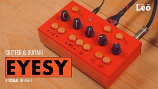 Critter & Guitari Eyesy |  A Visual delight!