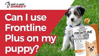 Can I use Frontline Plus on my puppy?