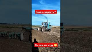 Дисковка на тракторе #Т150 #полевые #тракторист #мтз #farming #agriculture #mtz