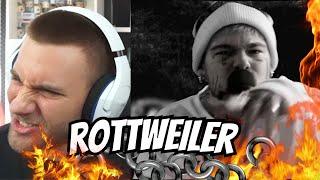 dieser TRACK kommt so HART!! TJ_beastboy - ROTTWEiLER - MATHEMATIC-RAPADDICT EP - REACTION