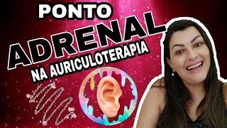  Auriculoterapia Pontos - Adrenal | Entendendo Auriculoterapia