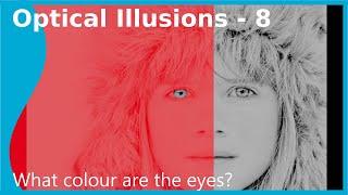 Optical Illusions - Motion binding & Colour constancy