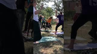 The Hayloft did #goatyoga w/ Wisdom Ways!