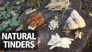 10 Ways to Start a Campfire (Flammable Natural Materials)