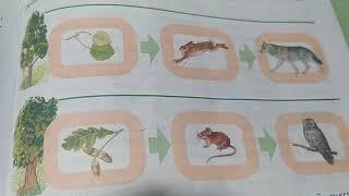 Окружающий мир 3класс. Урок 2.Тема урока Кто что ест? И Кто как приспособлен.