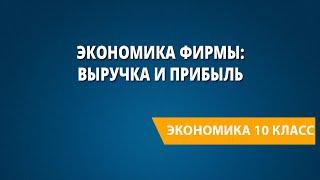 Экономика фирмы: выручка и прибыль