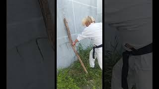 KARATE REVERSE PUNCH