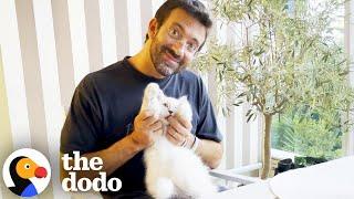 He Really Didn't Want His Wife To Get A Cat | The Dodo