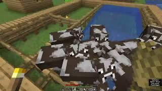 Gathering cows | All Farms in Survival | Minecraft | Let's Play