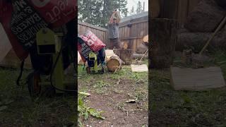 SPLITTING WOOD IN A HAILSTORM