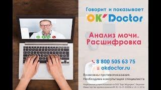 Анализ мочи расшифровка ОАМ