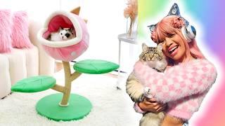 BUYING CUTE STUFF FOR MY KITTEN! with happyandpolly!