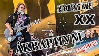 Аквариум Нашествие 2019 от LANCHIKa