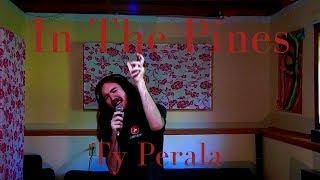 In The Pines | Ty Perala (Cover)