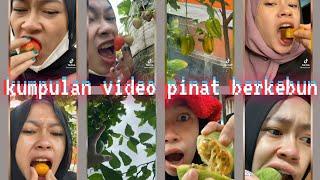 Kumpulan Video tiktok PINAT berkebun! sampai beli pohon