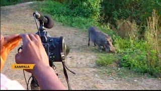 MARKETING DESTINATION UGANDA THROUGH THE LENS OF A CAMERA AND DIGITAL PLATFORM