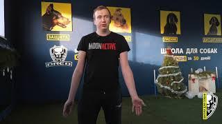 Отзыв о полном курсе дрессировки | Доберман Локи ПК | Школа для собак DRED | Дрессировка Украина