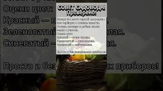 #ЛайфхакСадовода  Узнаем кислотность почвы народными способами!