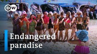Thailand and the fallout from mass tourism | DW Documentary