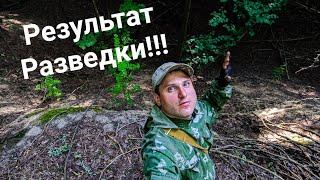Результативная разведка Камрада год кормит! Коп2020 #metaldetecting #поиск #кладоискатель