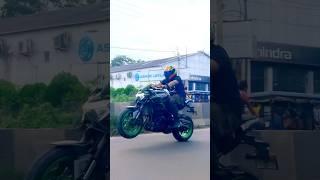 Z900 Wheelie#kawasaki #kawasakiz900 #z900 #superbike #viral #shorts #trending