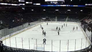 St Ignatius vs St Francis de Sales - OHSAA State Semifinal - SFD Atk 2x - 3/8/25 @ Nationwide Arena