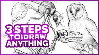 How to Draw Anything in 3 Easy Steps!