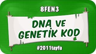 DNA ve Genetik Kod  tonguçCUP 1.Sezon - 8FEN3 #2025LGS