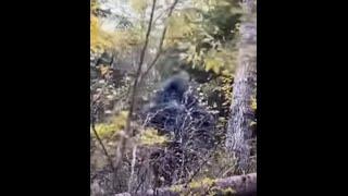 East Texas Bigfoot