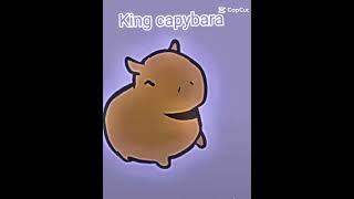 King capybara.