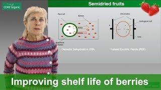 Mild technologies to improve shelf life and quality of organic berries (Ecoberries)