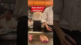 Where to eat cheapest and best Kobe beef in Kobe ? #kobebeef#steakland