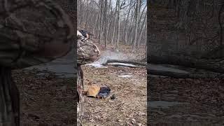 Winchester 12 Guage SXP Pump vs Bottle