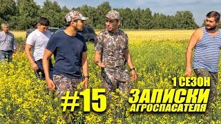 #15 Рейд на поля, выращивание рапса