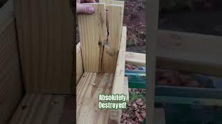 .460 S&W Magnum Vs The Boards! #shorts #viral