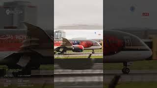Stunning Royal Jordanian Petra livery 787 #aviation #aircraft #liveplanespotting