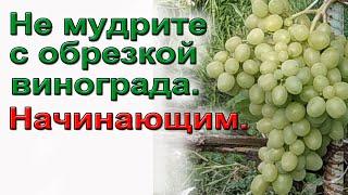 Как обрезать виноград осенью.  Подробно начинающим.