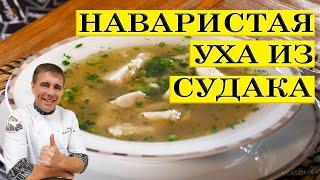 Rich walleye soup | ENG SUB.