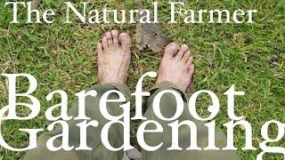 From thorns to Barefoot Garden - John Kaisner The Natural Farmer