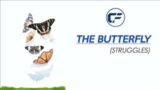 The Butterfly Struggle | Inspirational Lesson about Life | English Tales | The Content Factory