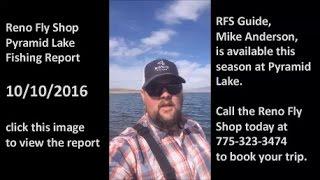 Reno Fly Shop Pyramid Lake Fly Fishing Report - October 10, 2016