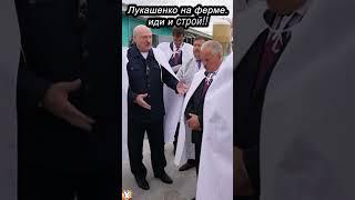 Лукашенко на ферме:  ИДИ и СТРОЙ!! #shorts