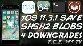 iOS 11.3.1 - How to Save Your SHSH2 Blobs For Downgrades / Upgrades