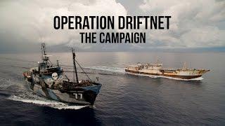 Operation Driftnet: Wrap Up
