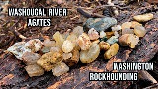 Washington Rockhounding at Washougal River