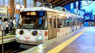 [Lucky Cat Train] Ride Tokyo’s Cat-Themed Train to Visit Gotokuji, the Birthplace of the Lucky Cat