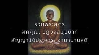 ผัคคุณสูตร ปฏิจจสมุปบาท สัญญา10ประการ  อานาปานสติ 7ชั่วโมง