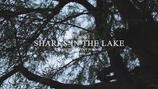 Wave MMLZ - SHARKS IN THE LAKE (Music Video)