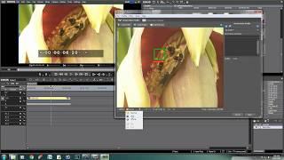 Neat Video 2018  Plug-Ins in EDIUS 7 & 8  Version Full  Free Download 100% and Working